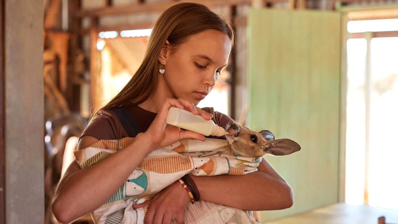 Lilly (Lily Whiteley) struggles with the death of her father and the new surroundings - but the little kangaroos donate their consolation!