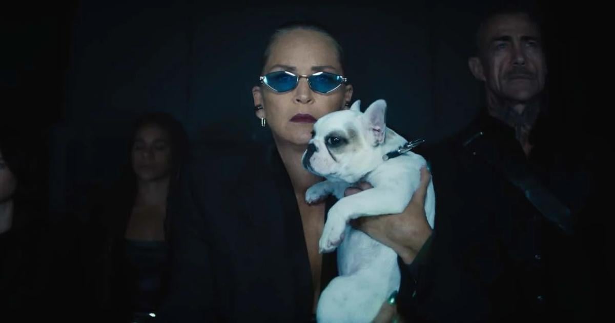 "Nobody 2" film criticism: Nobody kills as well as Bob