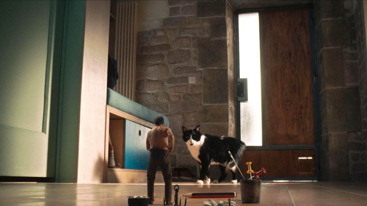 Soon Paul will even have to flee from his own cat!