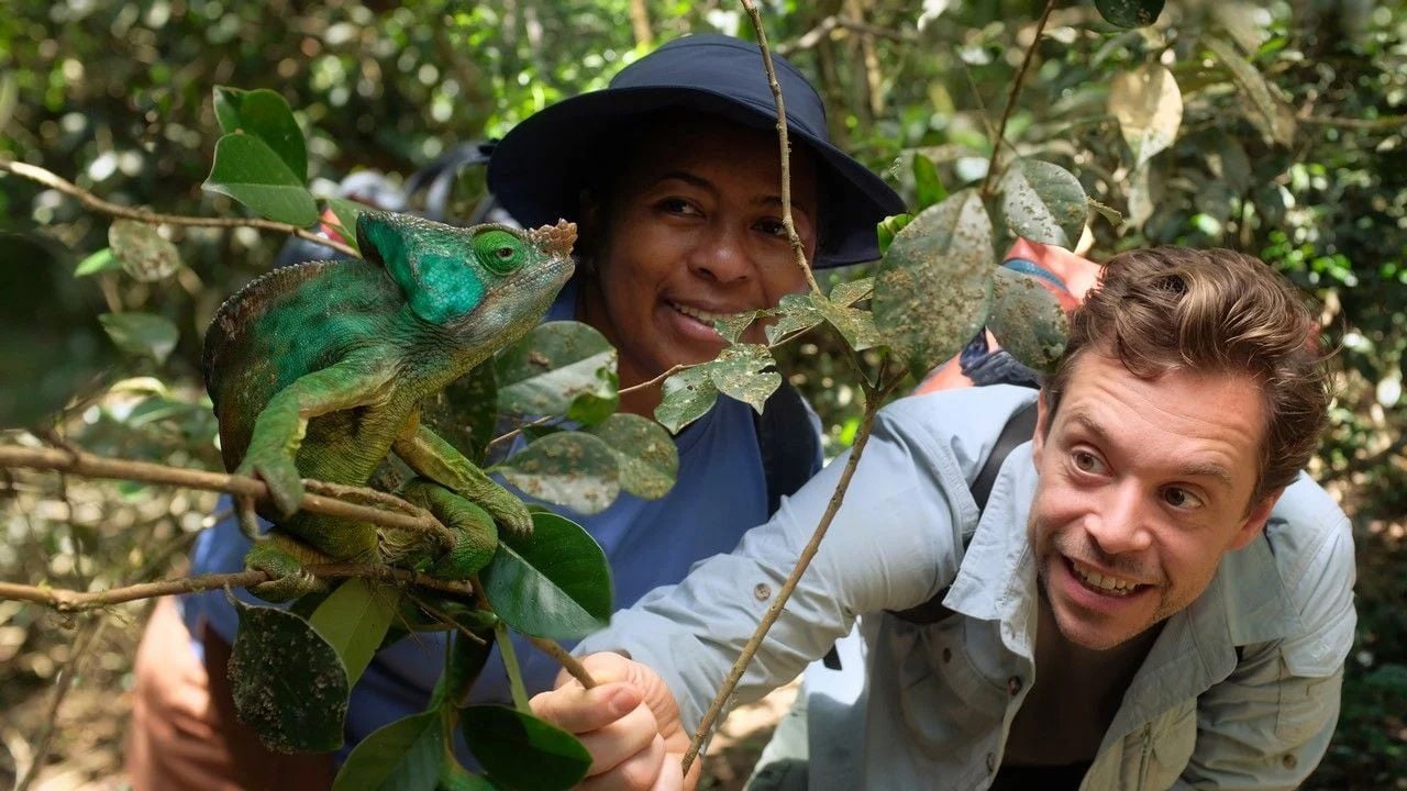 Checker Tobi and the Malagasy biologist Hanitra admire a chameleon.