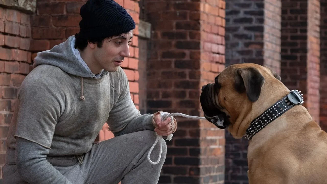 Sylvester Stallone (Anthony Ippolito) and his best friend Bullmastiff Butkus.