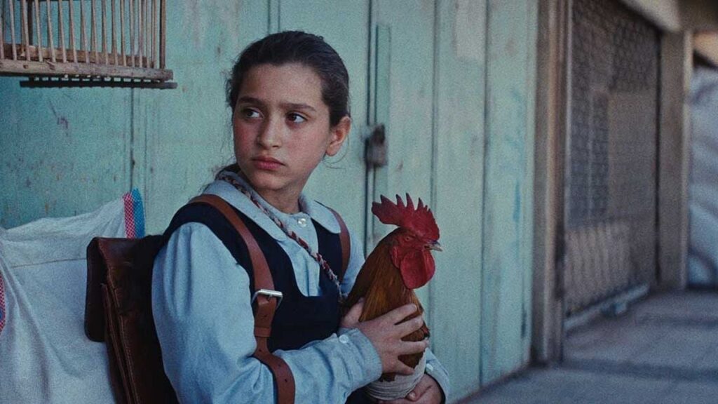 A cake for the president 


 movie review