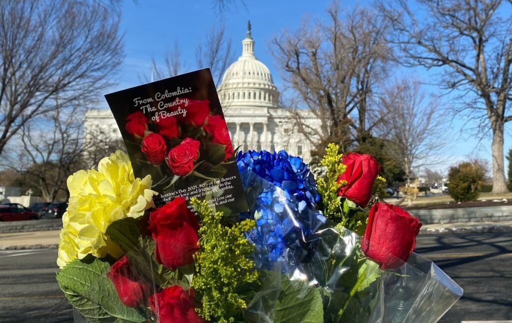Colombia promotes diplomacy with the sending of flowers to the US Congress