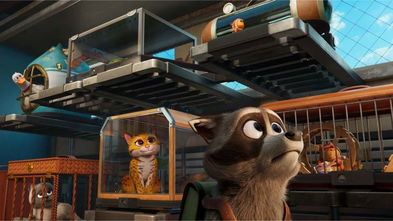 Falcon must find a way out not only for himself, but also for the animals trapped in the luggage compartment.