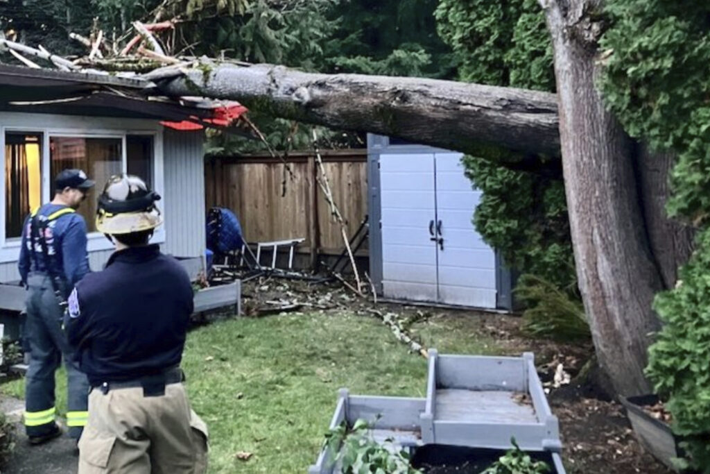 "Cyclonic bomb" in the northwest of the US leaves one dead and 600,000 houses without power