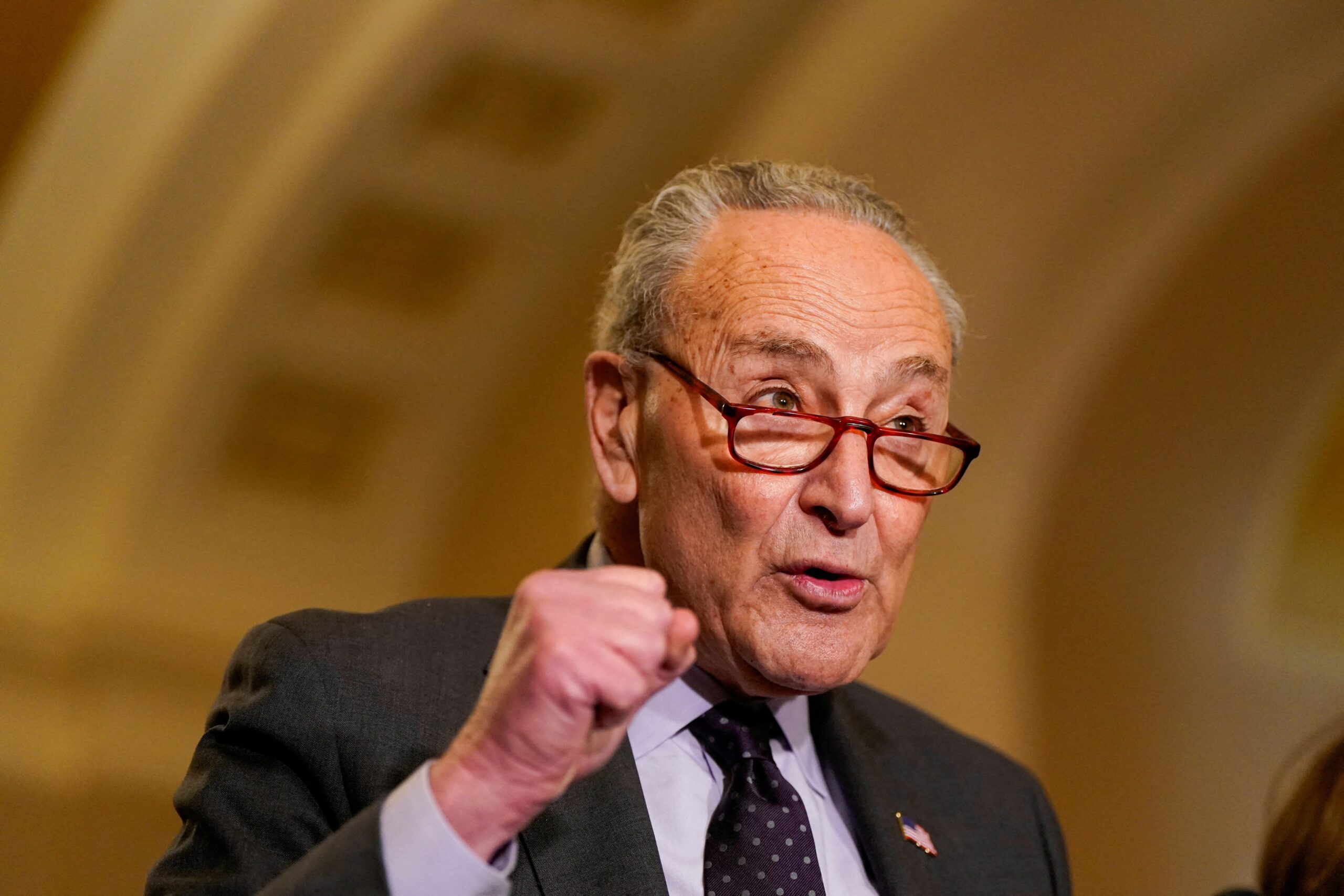 Democrats could approve expenses law to prevent government closure: Schumer