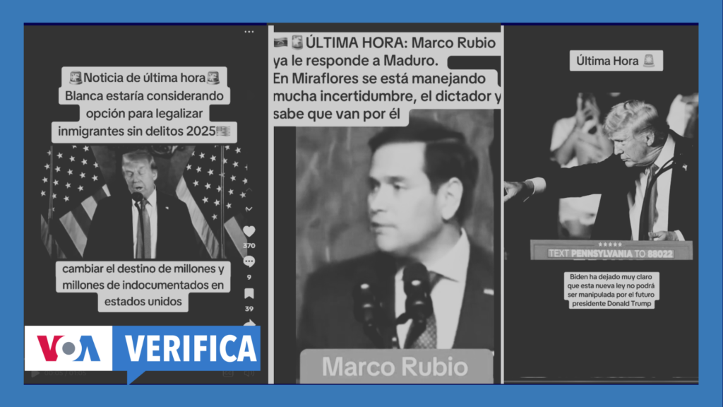 Five misinformation that has circulated about the president-elect, Donald Trump, prior to the inauguration