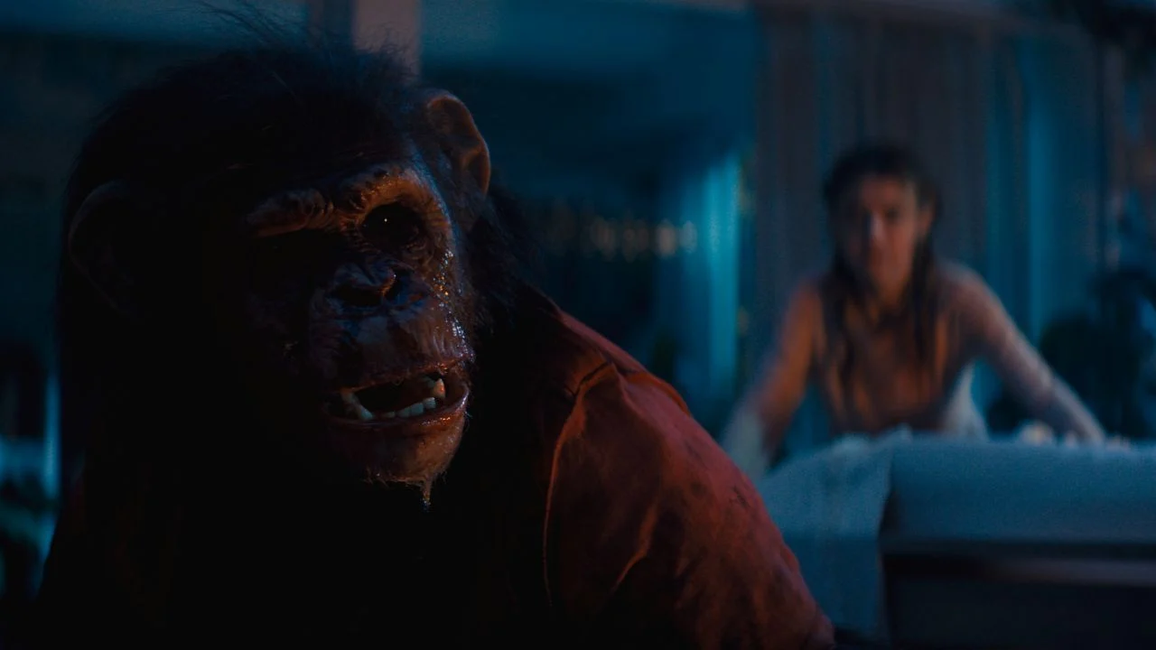 Luckily, monkey Ben is afraid of water: Lucy (Johnny Sequoyah) and her guests are no longer safe anywhere outside the pool!