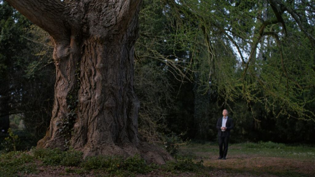 Silent Friend


 movie review