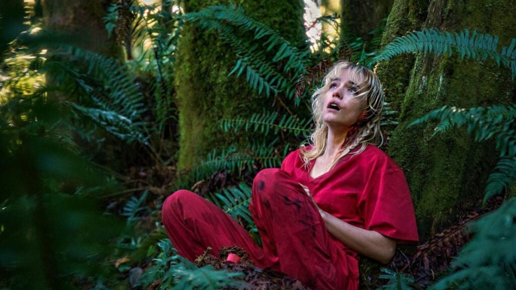 Strange darling


 movie review