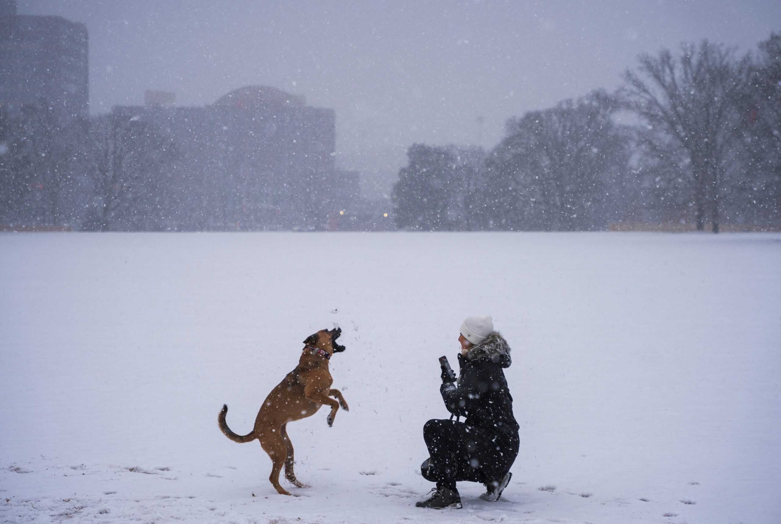 Strong winter storm causes flight delays and school closures in the southern US