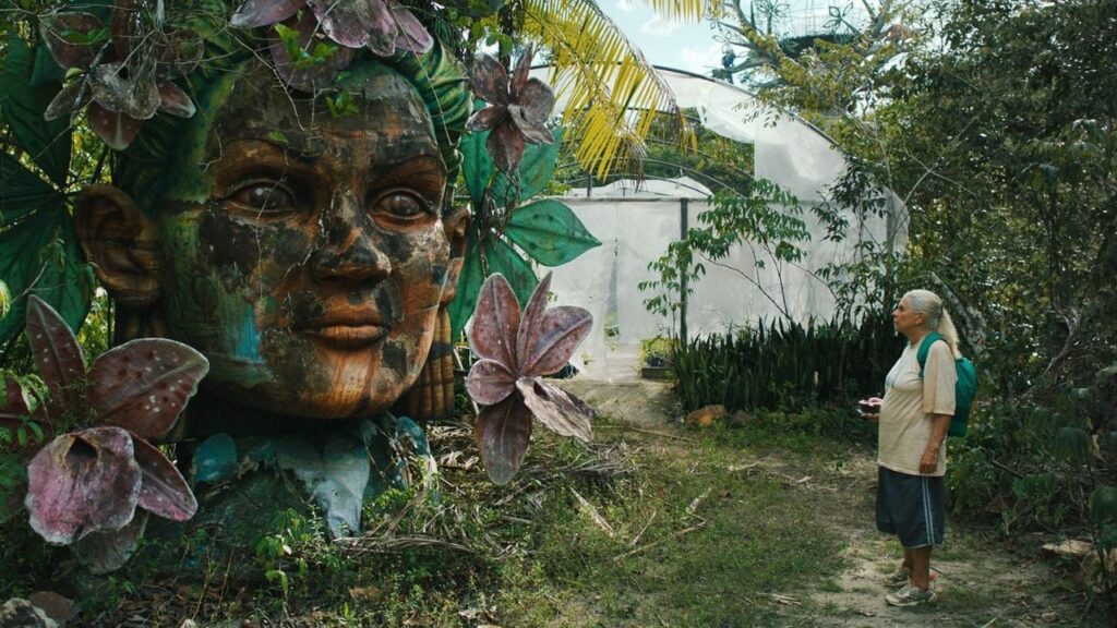 The Blue Trail


 movie review