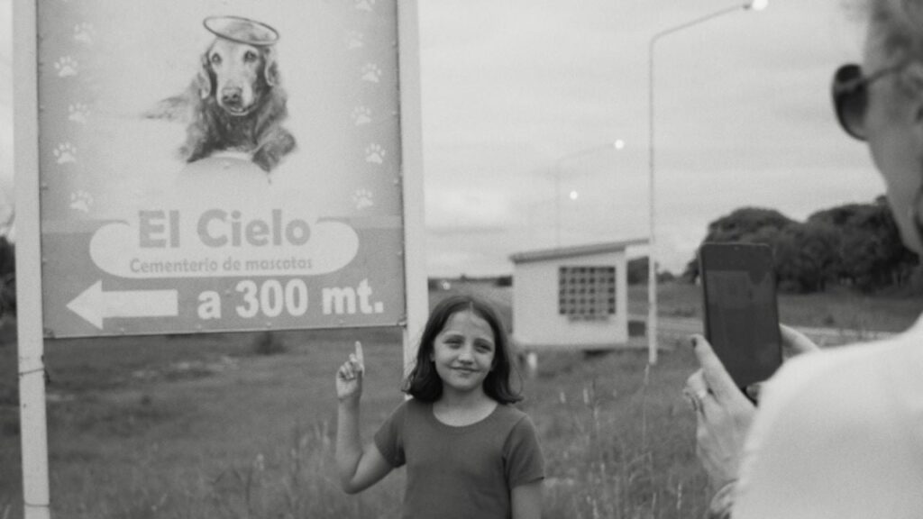 The message


 movie review