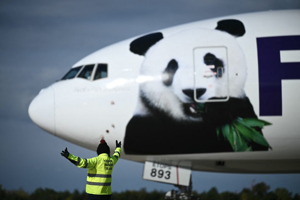 Two giant pandas arrive from China to the Washington Zoo after a long wait