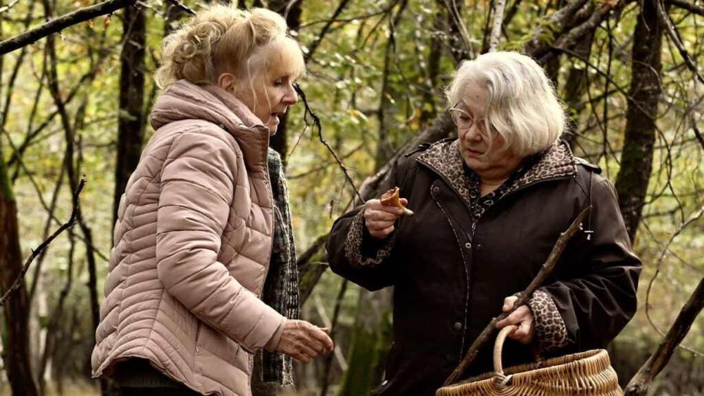 When autumn is approaching


 movie review